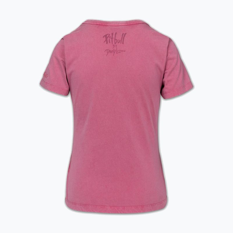 Women's T-shirt Pitbull Dia De Los Perros washed pink 4