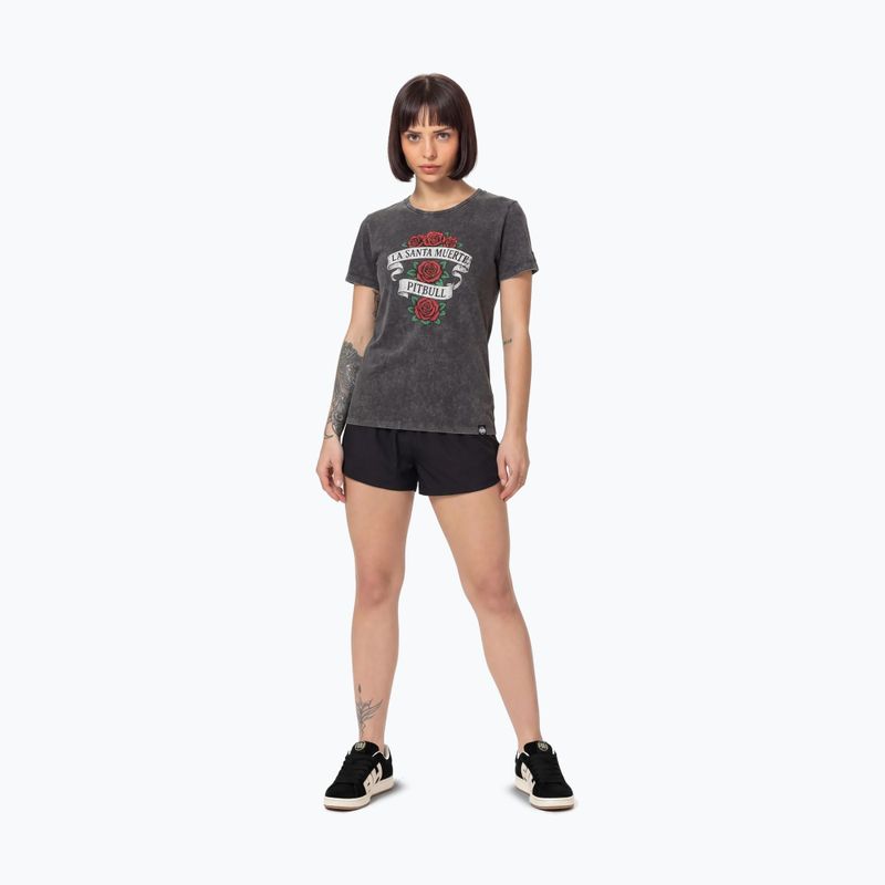 Women's T-shirt Pitbull Santa Muerte graphite 2