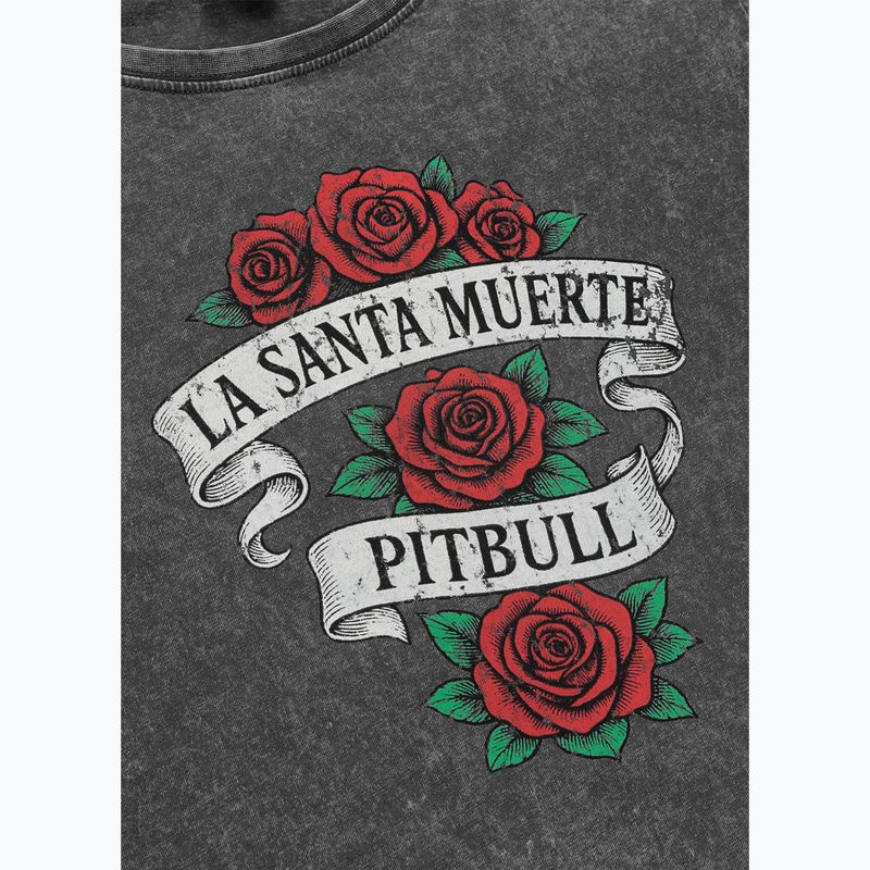 Women's T-shirt Pitbull Santa Muerte graphite 7
