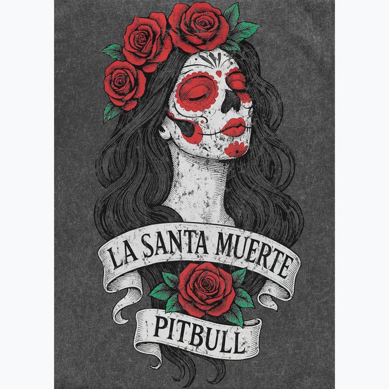 Women's T-shirt Pitbull Santa Muerte graphite 8