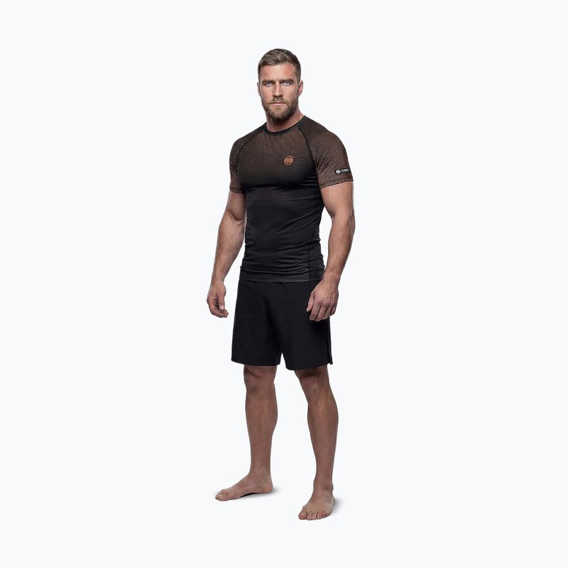 Men's rashguard Pitbull Belt Rashguard brown 2