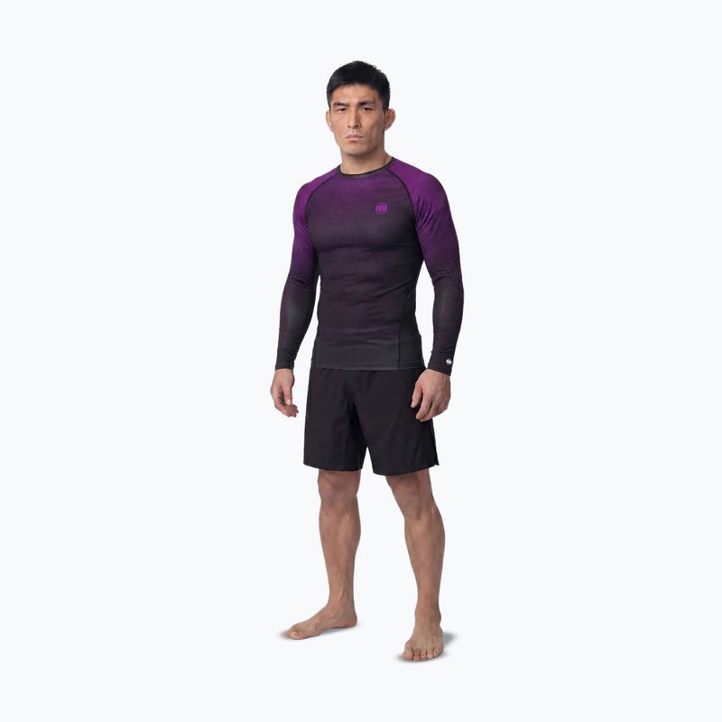 Men's long sleeve rashguard Pitbull Belt Rashguard purple 2