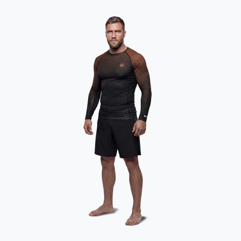 Men's long sleeve rashguard Pitbull Belt Rashguard brown 2
