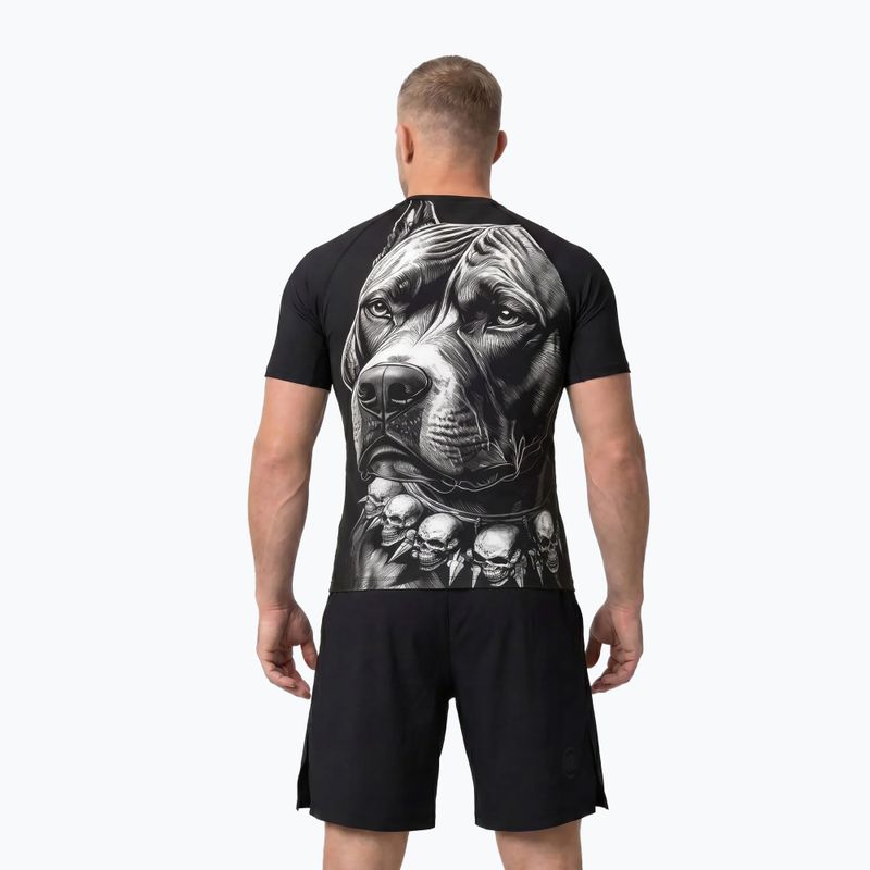 Men's rashguard Pitbull Blacky Rashguard black 3