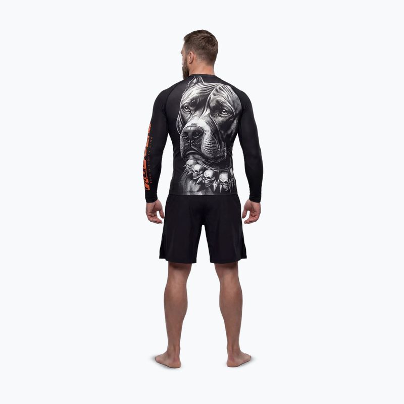 Men's long sleeve rashguard Pitbull Blacky Rashguard 3