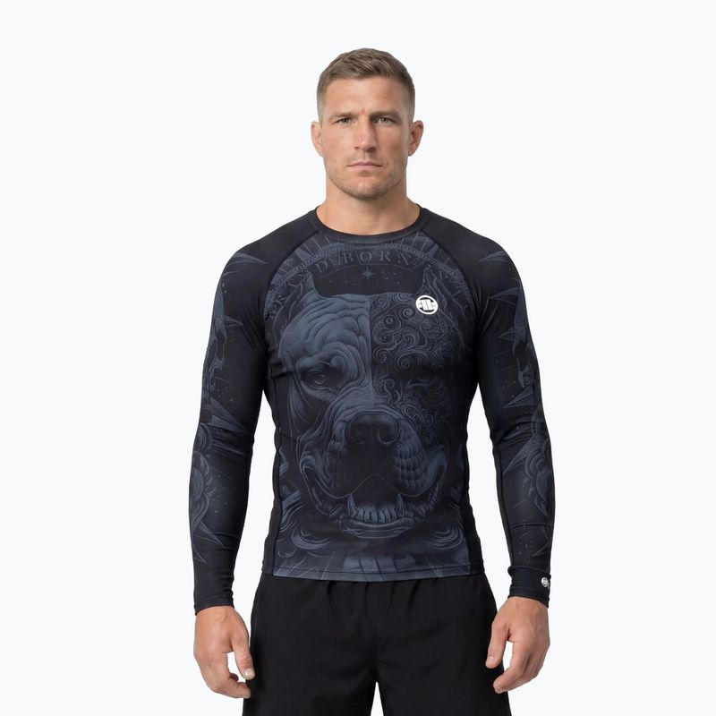 Men's long sleeve rashguard Pitbull World Rashguard black