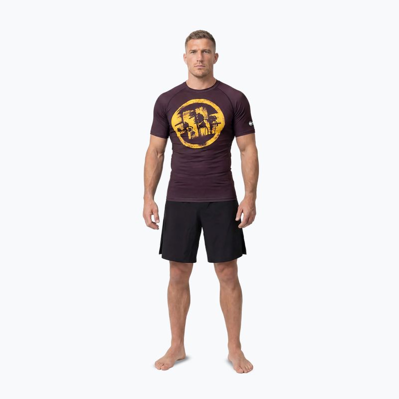 Men's T-shirt Pitbull Rashguard Logo Palms brown 2