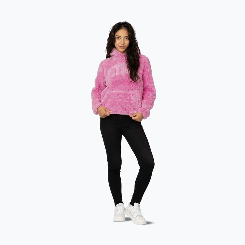 Women's sweatshirt Pitbull Aragona Norton Hooded dark chocolate 2