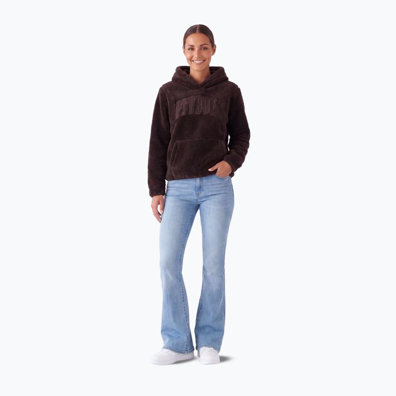 Women's sweatshirt Pitbull Aragona Norton Hooded grey/melange 2