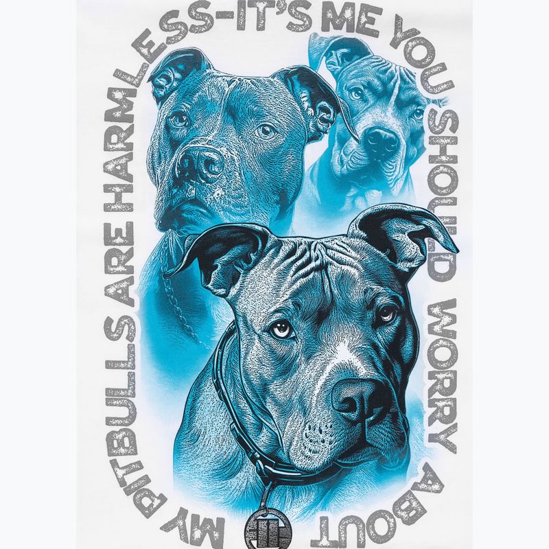 Men's T-shirt Pitbull Protector white 11