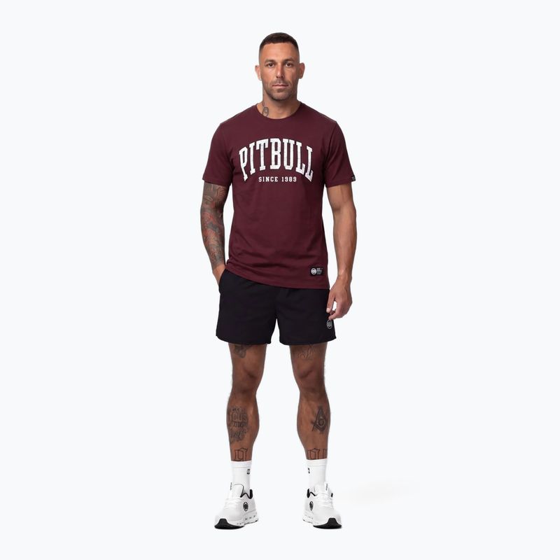 Men's T-shirt Pitbull Norton burgundy 2