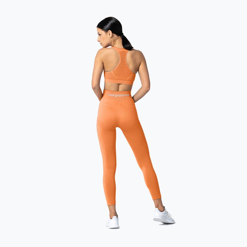 Women's Carpatree Phase Seamless leggings orange CP-PSL-PE 5