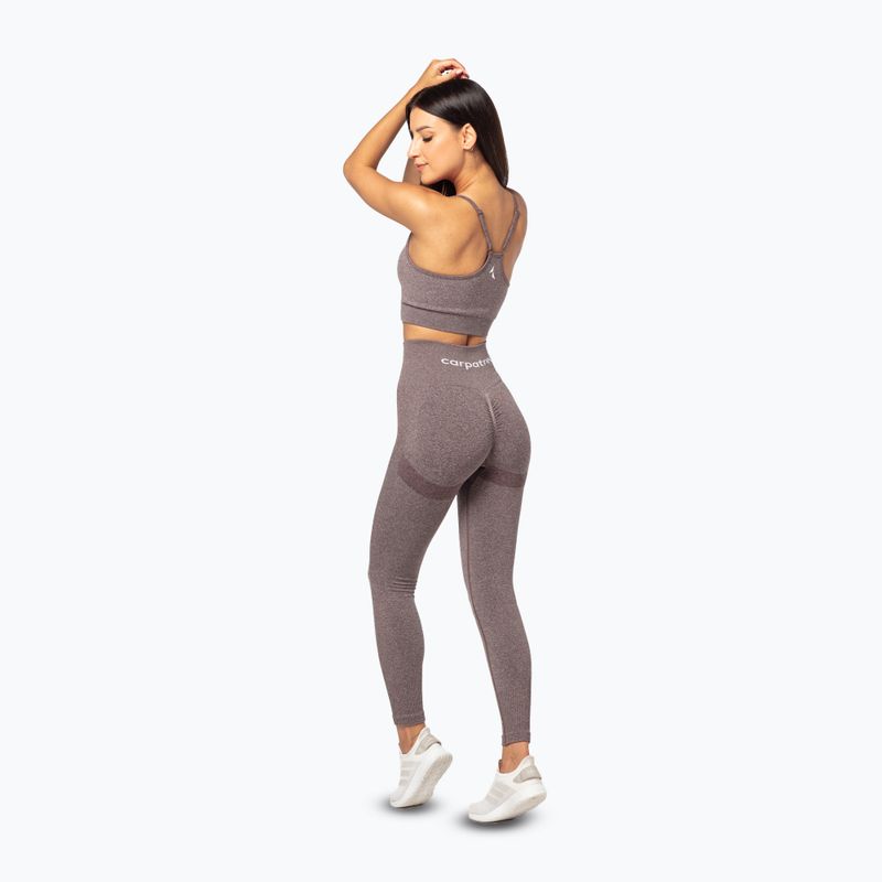 Women's training leggings Carpatree Allure Seamless brown melange (pepper corn) 3