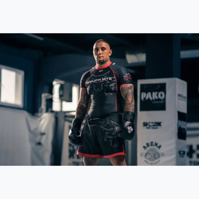 DBX BUSHIDO "ProFight" boxing gloves black 15