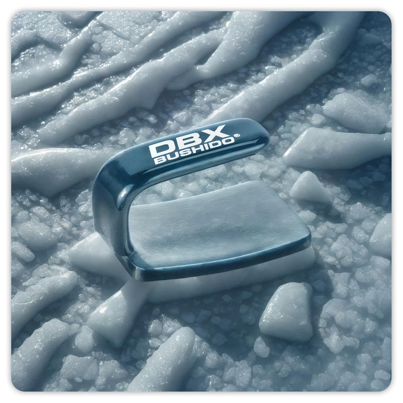 Boxing iron DBX BUSHIDO Ferro black/silver 7