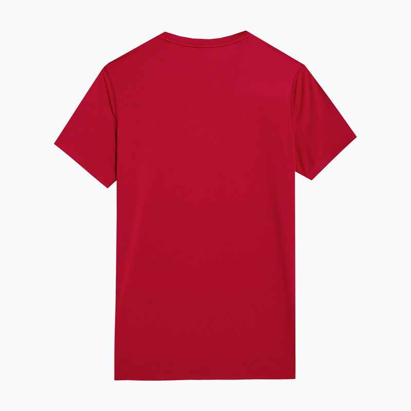 Men's training t-shirt 4F M448 red 2