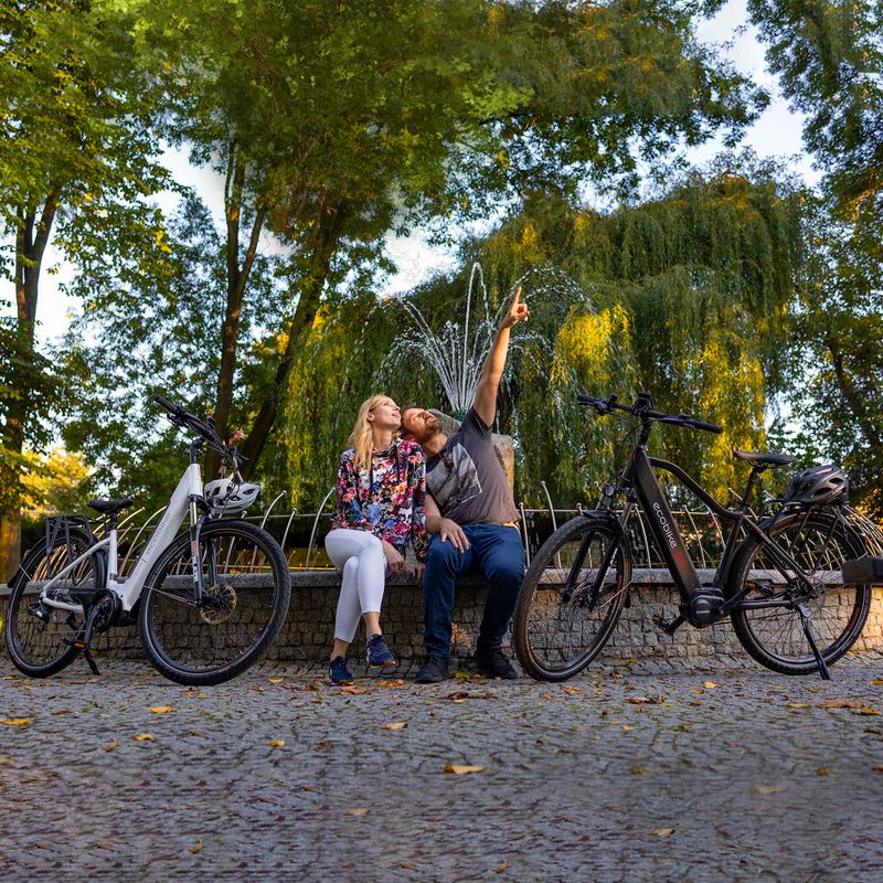 EcoBike MX300 Greenway electric bike black 1010307 21
