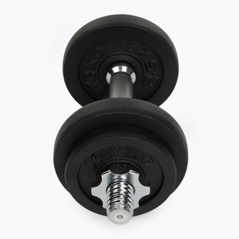 XTREXO 20 kg dumbbell set DK20 2