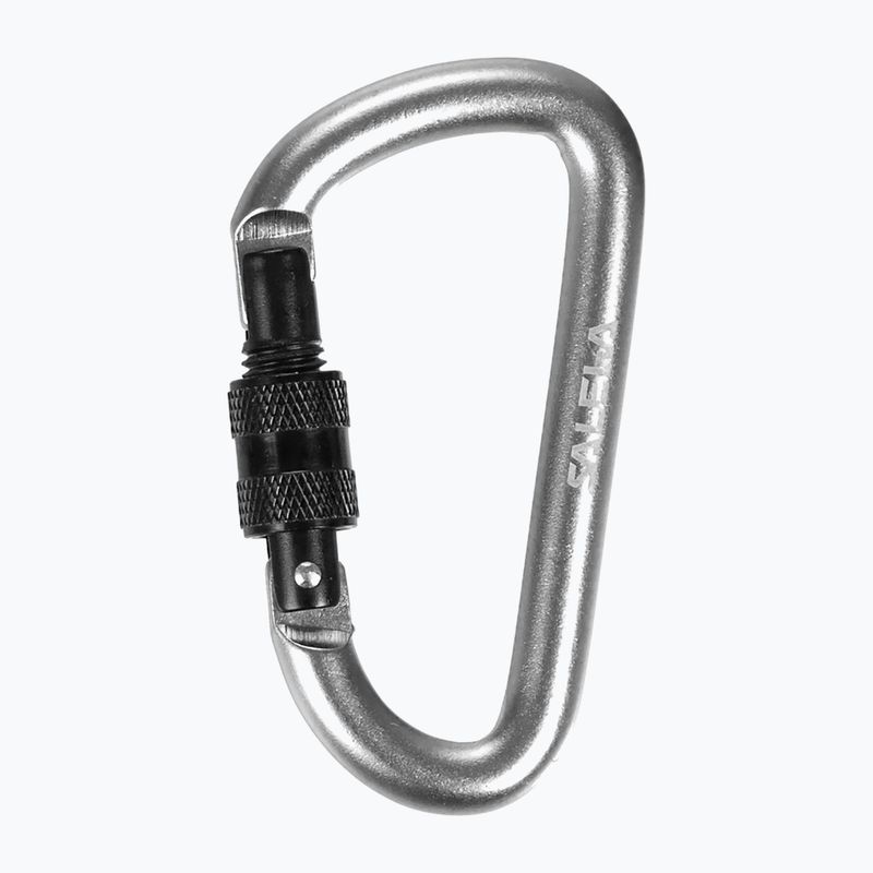Salewa D-Shape Carbiner With Screw black 00-0000034102