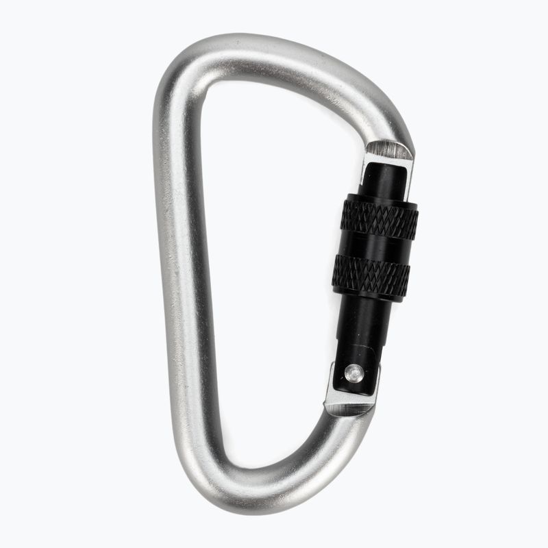 Salewa D-Shape Carbiner With Screw grey 00-0000034102 2