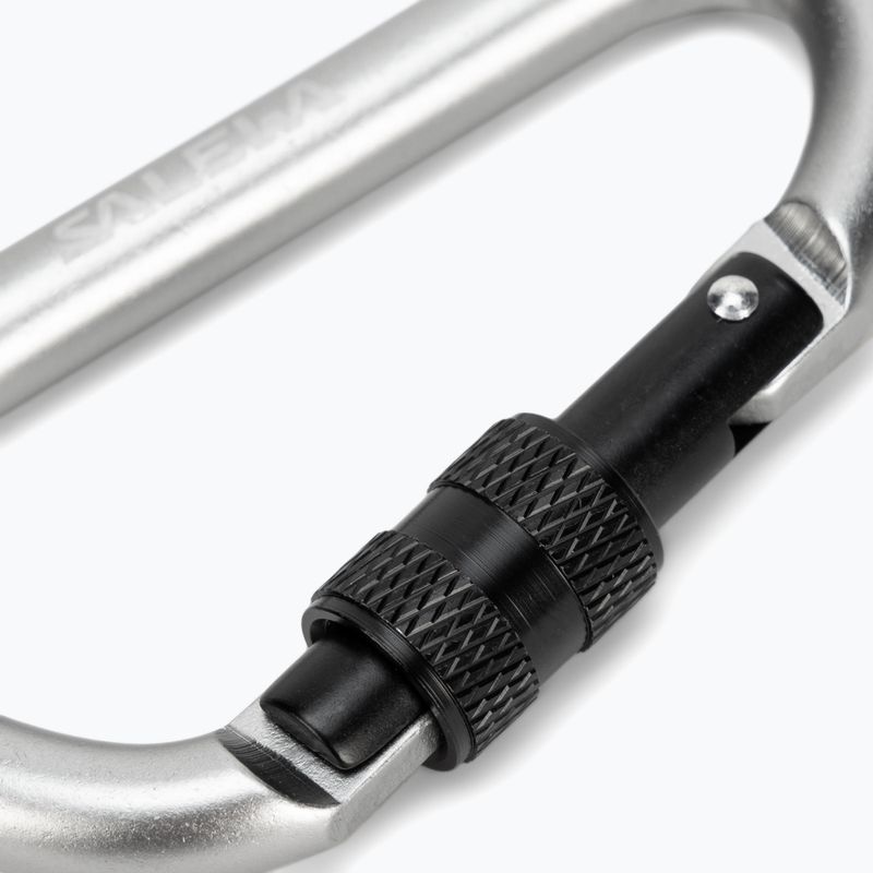 Salewa D-Shape Carbiner With Screw grey 00-0000034102 3