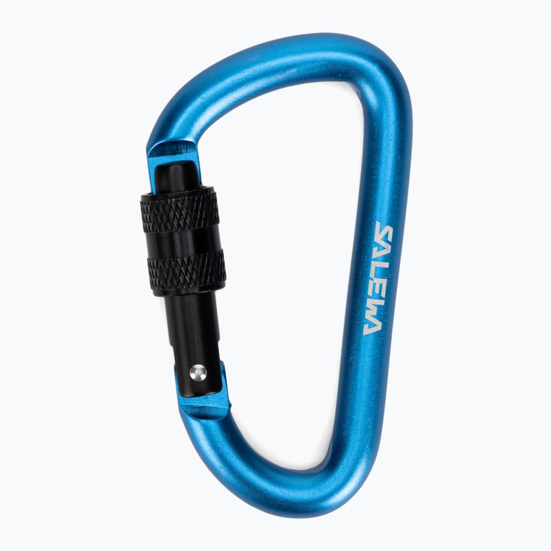 Salewa D-Shape Carbiner With Screw blue 00-0000034102