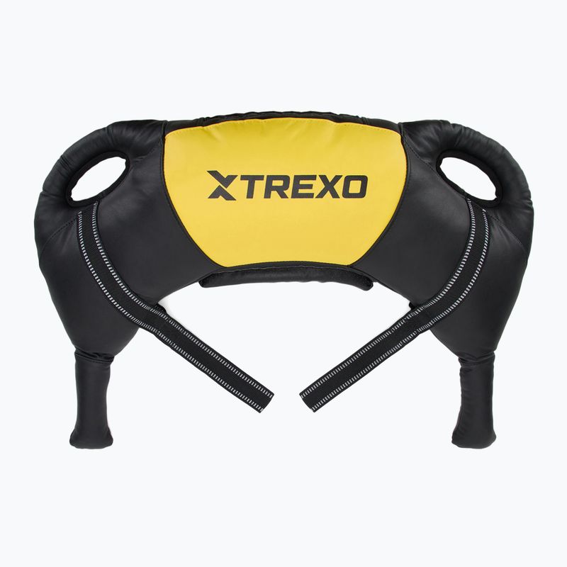 XTREXO 15 kg Bulgarian bag black