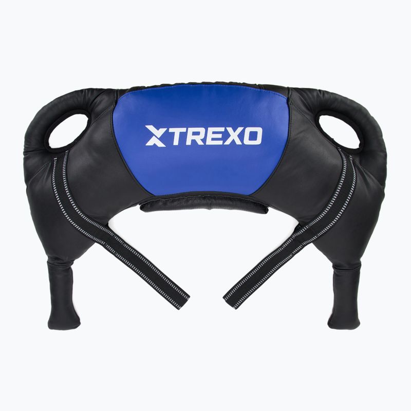 XTREXO 20 kg Bulgarian bag black