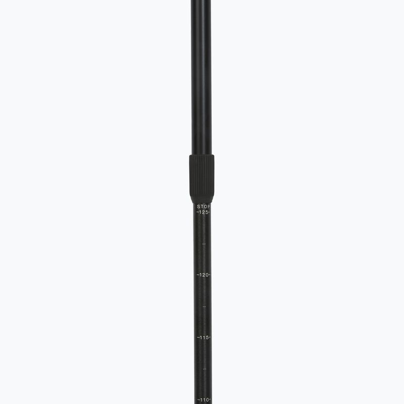 Fizan Smu Active black Nordic walking poles 4