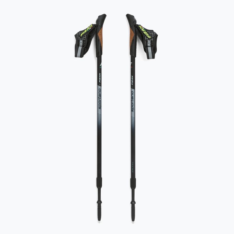 Fizan Smu Active black Nordic walking poles 5