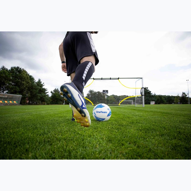 Aim training net OneTeam Target 500 x 200 cm black 10