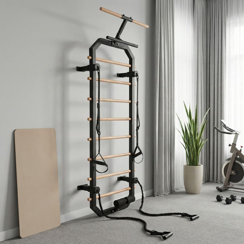 Gymnastic wall bars XTREXO MULTICORE PRO black 3