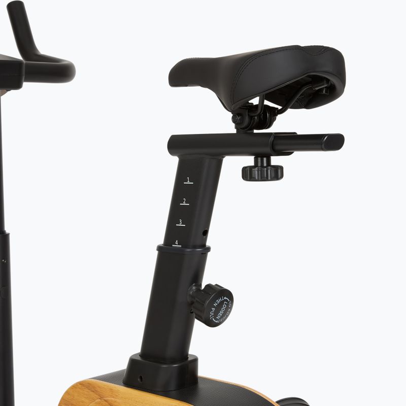 Electric bike XTREXO EB400 black 6