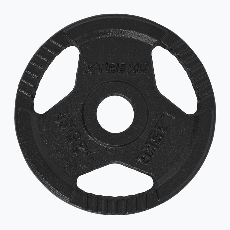 XTREXO cast iron weight TRX-ICP001 1.25 kg chrome 3