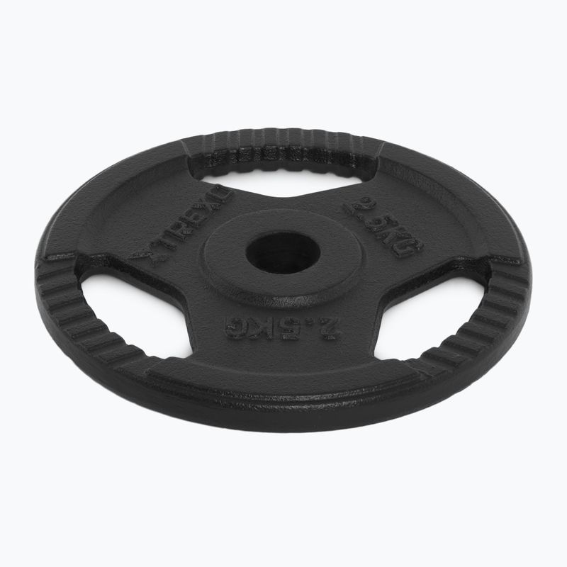 TREXO cast iron weight TRX-ICP002 2.5 kg chrome