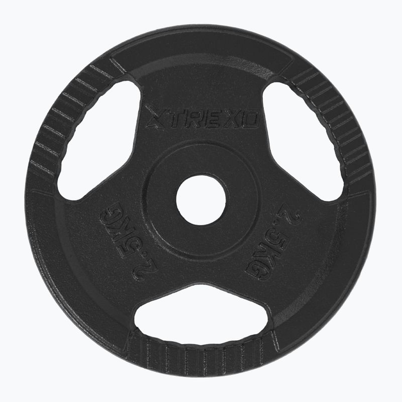 TREXO cast iron weight TRX-ICP002 2.5 kg chrome 2