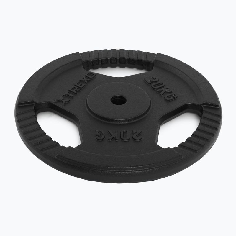XTREXO cast iron weight TRX-ICP020 20 kg chrome