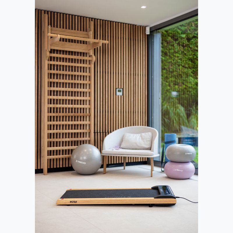 XTREXO TXO-W250 Walking Pad electric treadmill black/brown 9