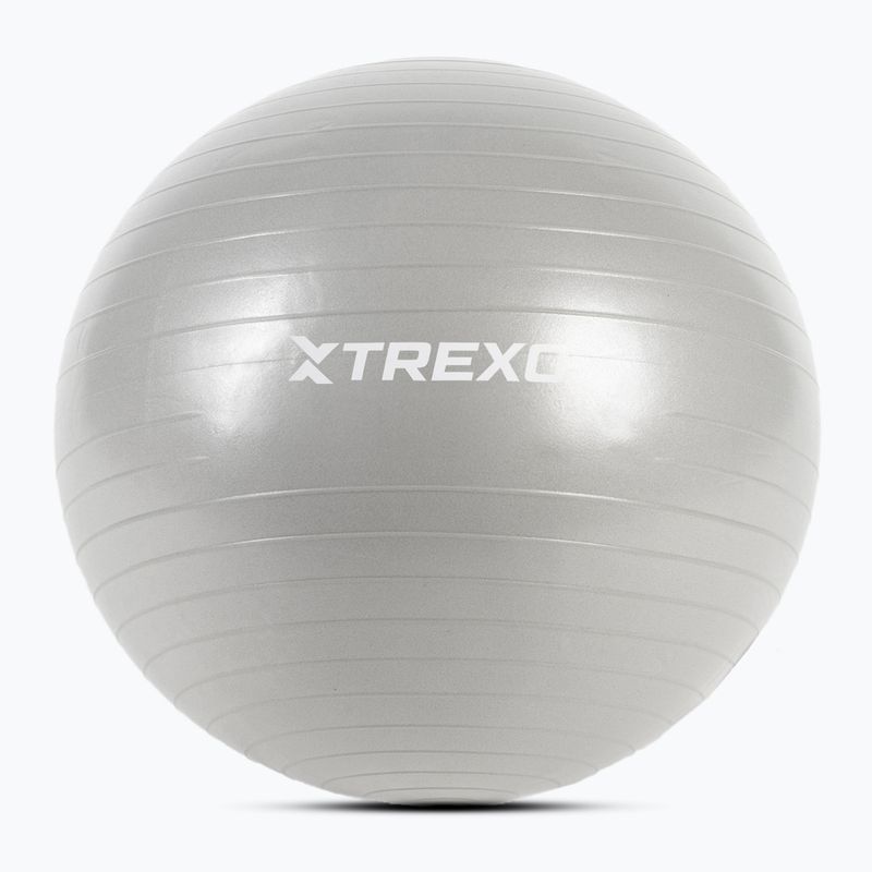 TREXO Gymball TXO-B4Z007-GY 55 cm grey