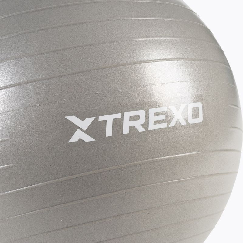 TREXO Gymball TXO-B4Z007-GY 55 cm grey 6