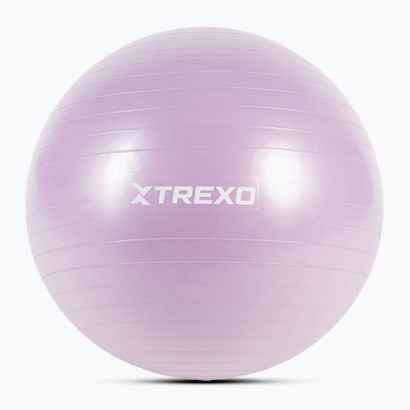 Gymnastic ball TREXO TXO-B4Z008-VT 65 cm purple