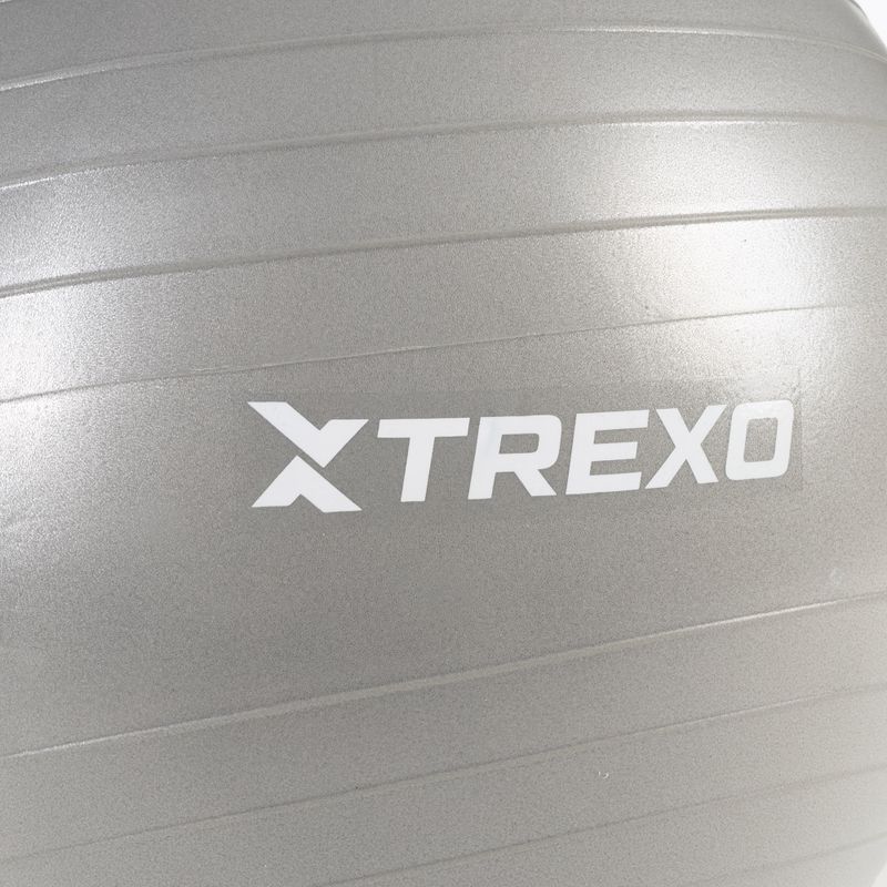 TREXO Gymball TXO-B4Z008-GY 65 cm grey 5