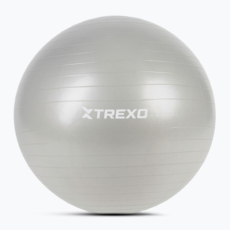 XTREXO Gymball TXO-B4Z009-GY 75 cm grey