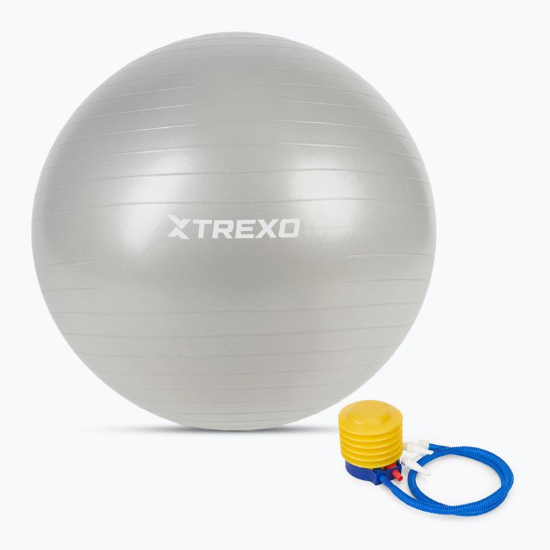 TREXO Gymball TXO-B4Z009-GY 75 cm grey 5