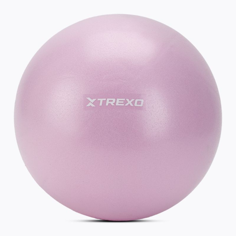XTREXO mini gymnastics ball TXO-B4Z011-VT 25 cm purple