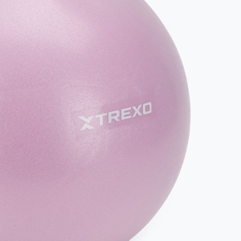 TREXO mini gymnastics ball TXO-B4Z011-VT 25 cm purple 2