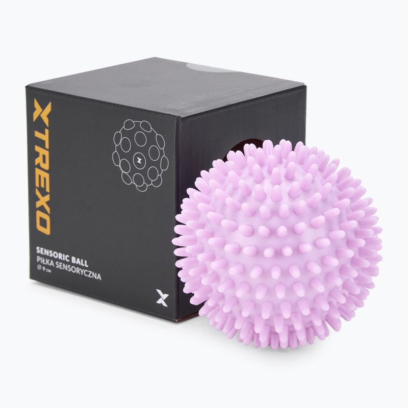 TREXO sensory ball TXO-B4Z033-VT purple 2