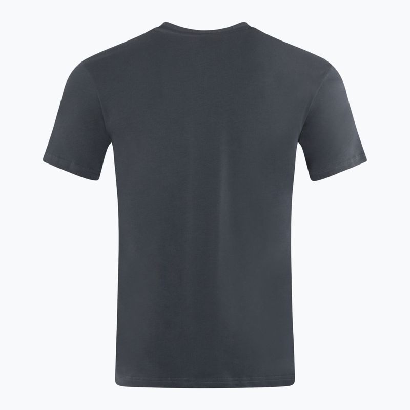 PROSTO men's t-shirt Essential gray 2