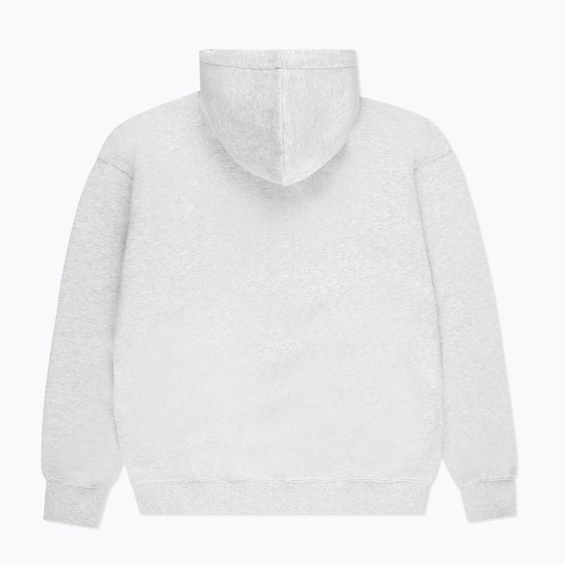 Men's PROSTO Fuss Hoodie gray 2