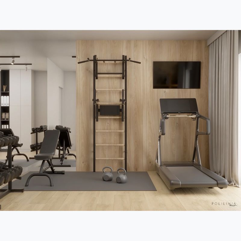 BenchK gymnastics ladder black BK-232B 20